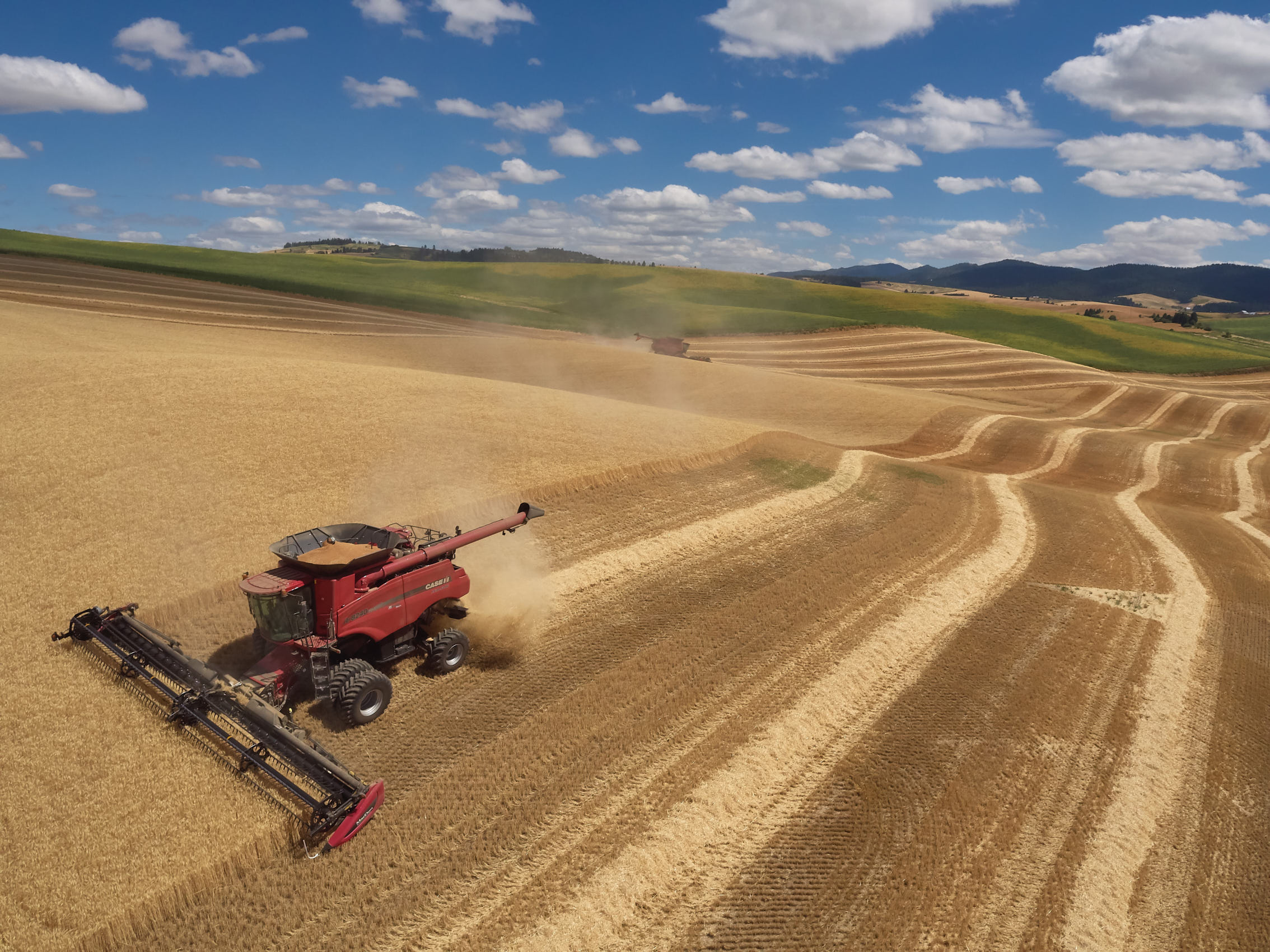 Aerial Wheat Harvest | Palouse, Washington, 