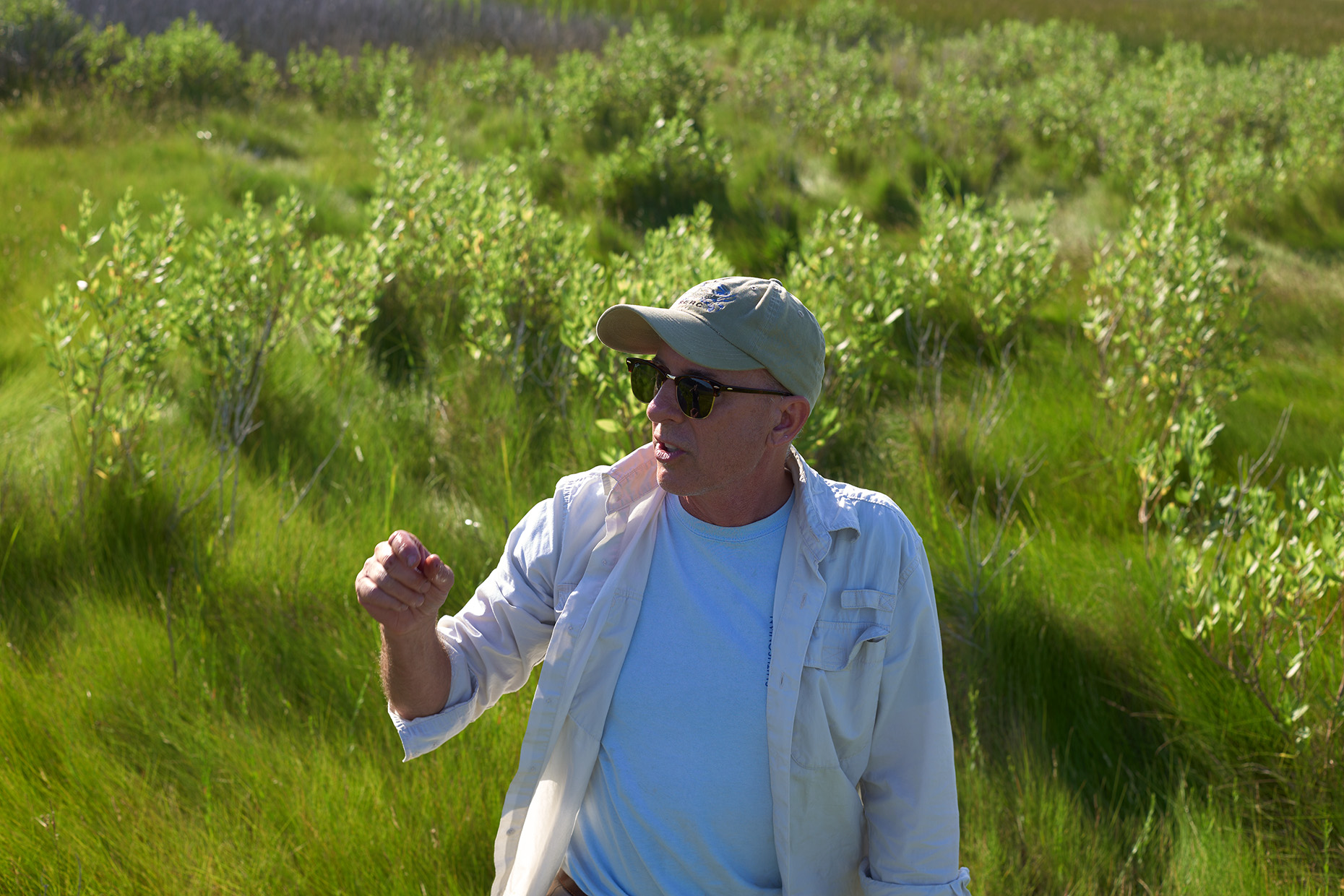 Smithsonian ecologist Patrick Megonigal
