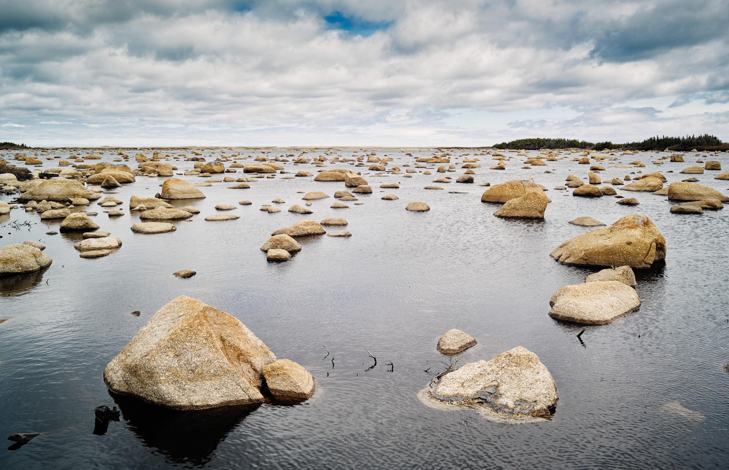 Newfoundland Landscape | Cameron Davidson