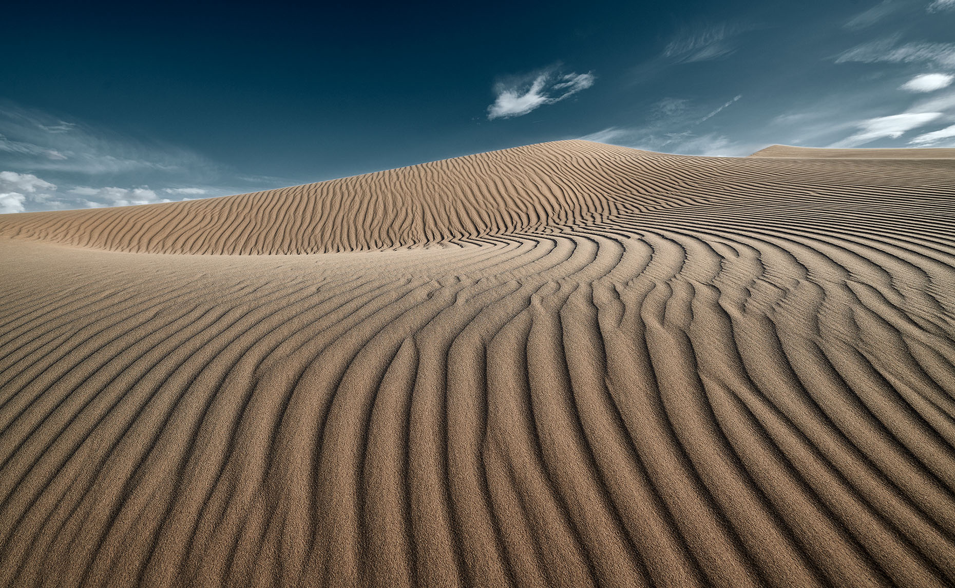 Cadiz Dunes Landscape | Cameron Davidson