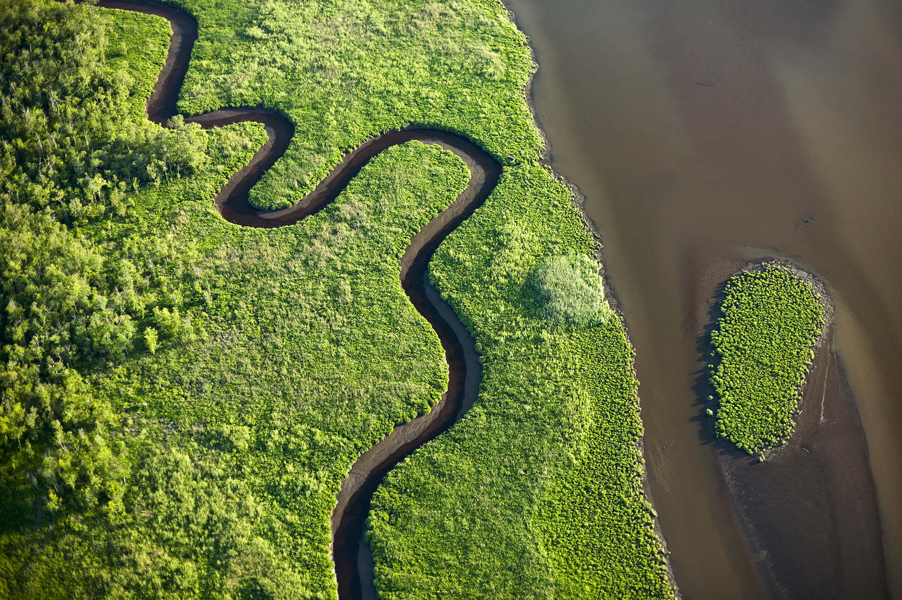 Aerial Nanticoke River marshes in Maryland by Cameron Davidson