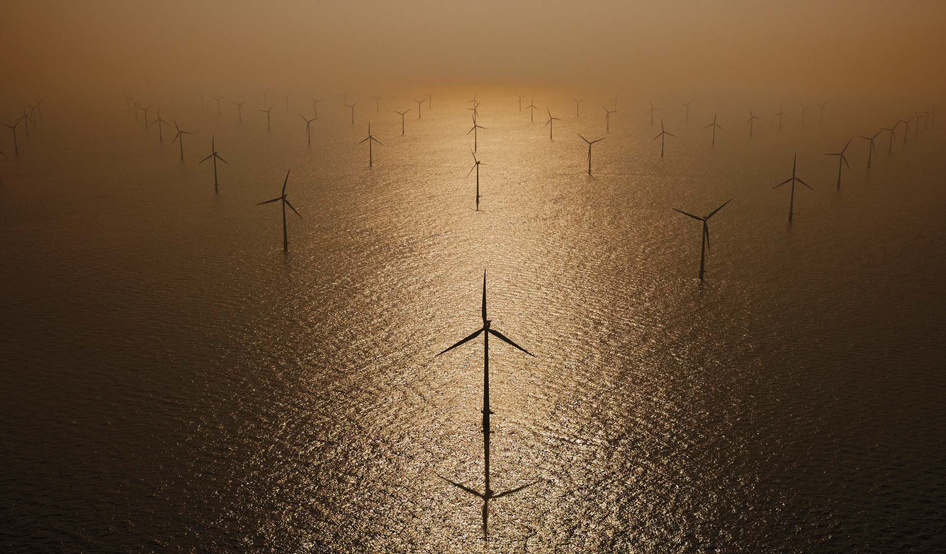Turbine Farm | Denmark | Cameron Davidson