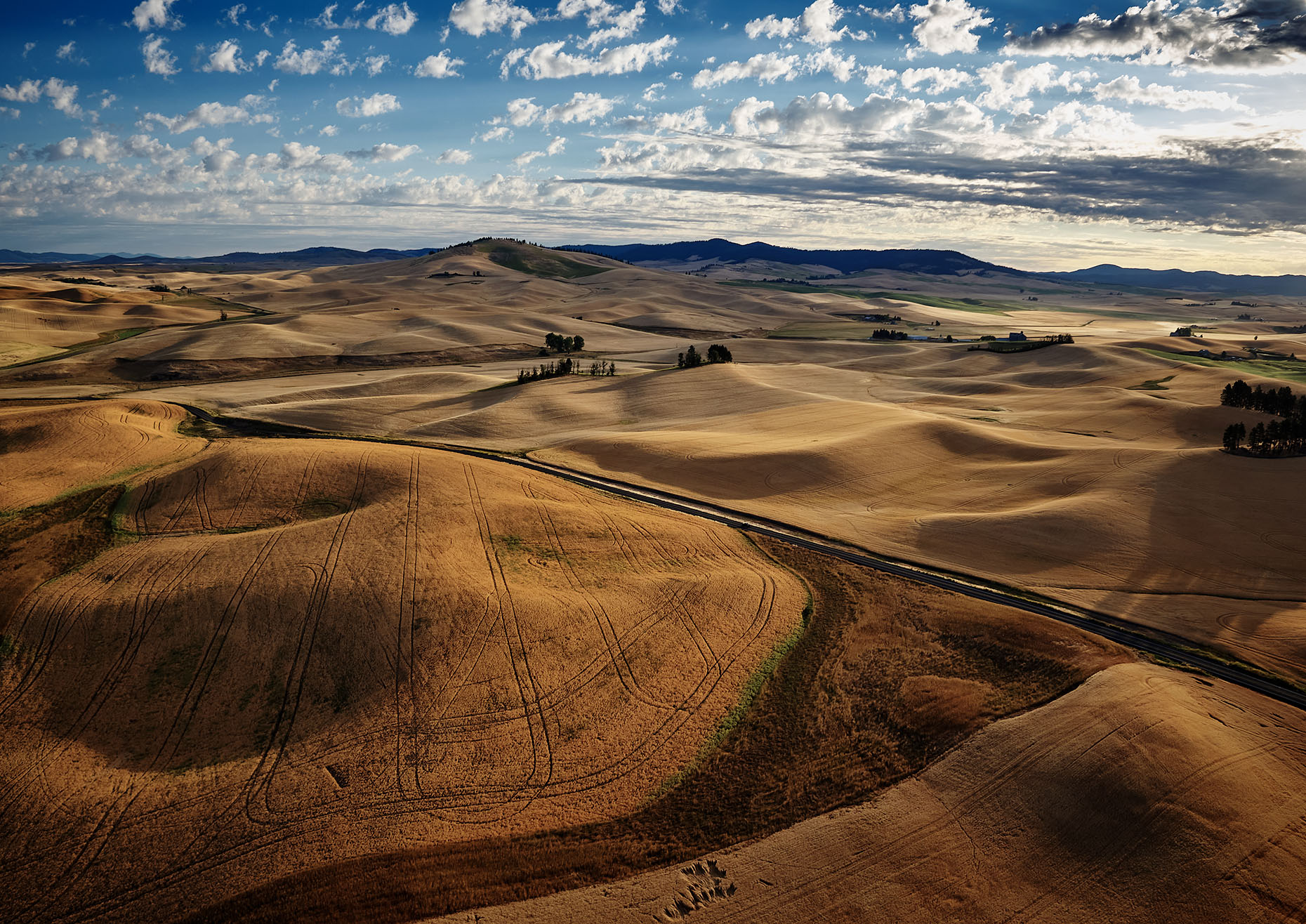 Drone Aerial, Wheat Harvest,  Palouse Valley, Washington State
