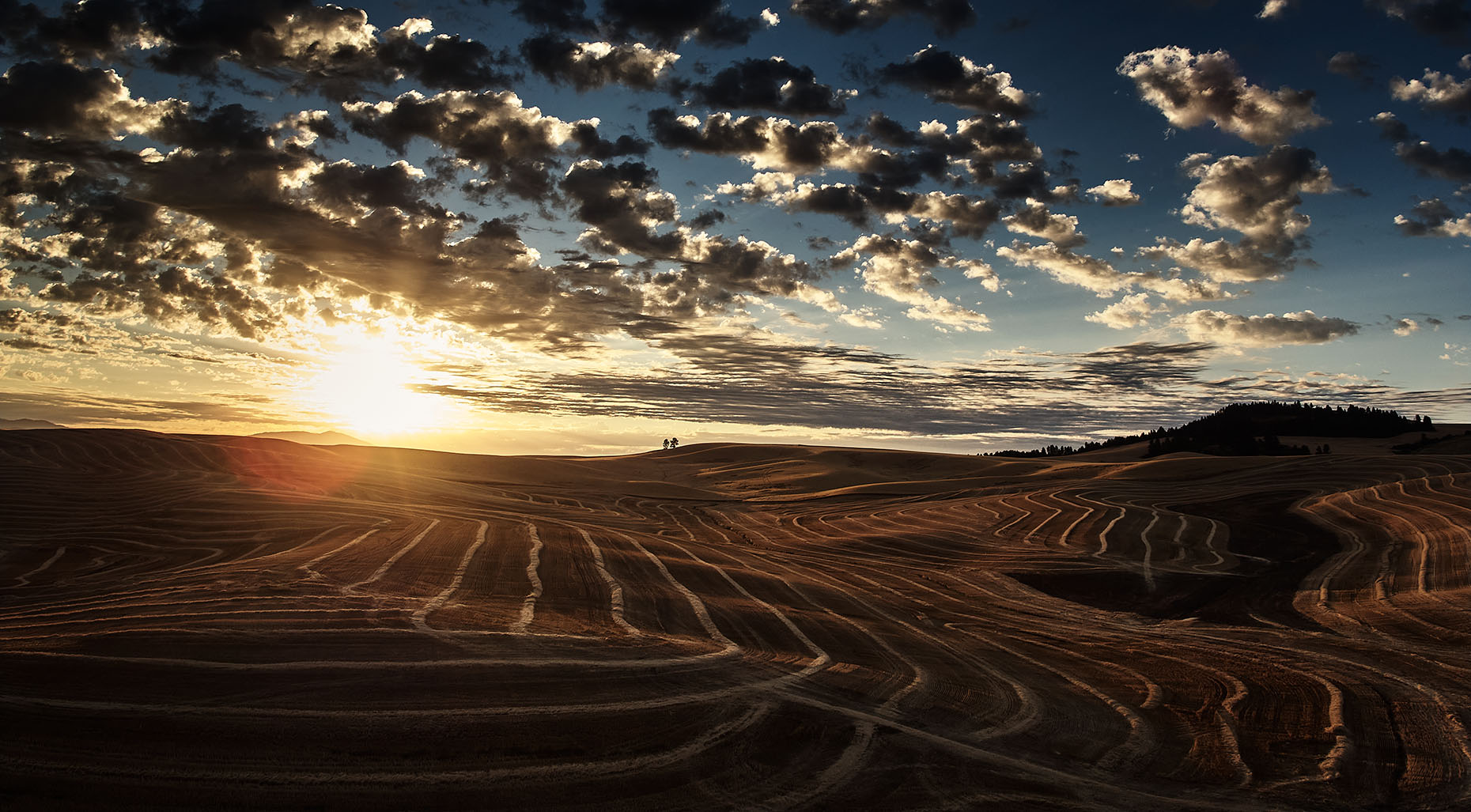 Sunrise, Aerial, Wheat Harvest,  Palouse Valley, Washington State