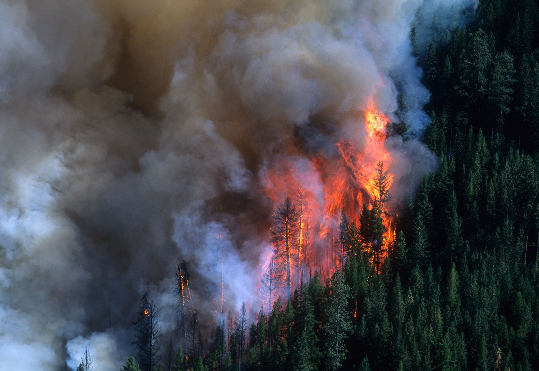 Snake River Wildfire for NatGeo