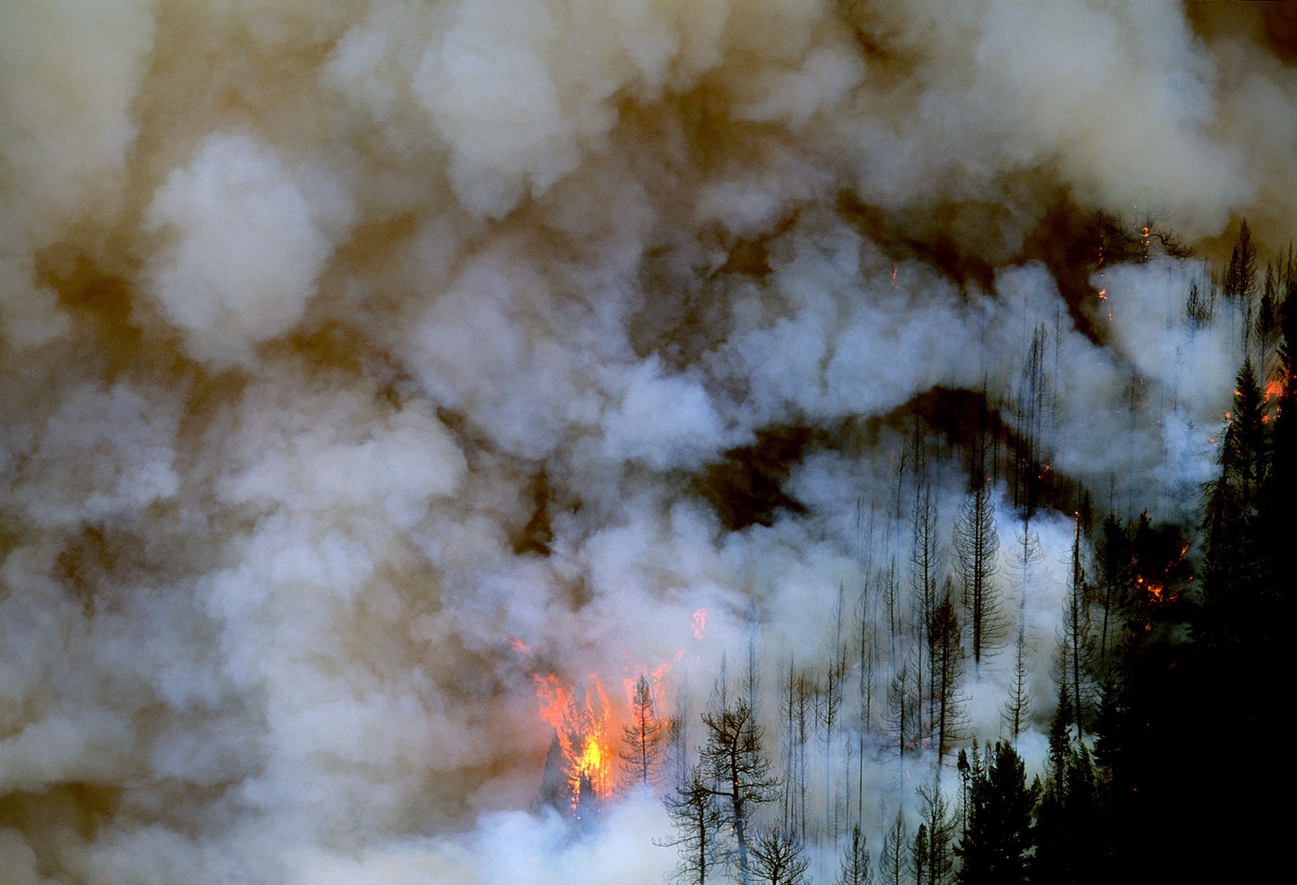 National Geographic Western Wildfire